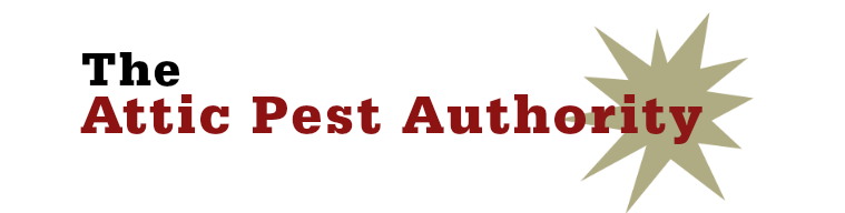 The Attic pest authority
