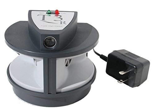 Pest Control - The Actual Pest Repellent Plants?