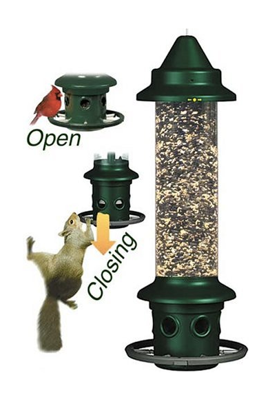 squirrel proof bird feeder in action