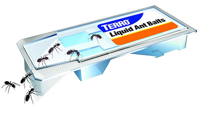 terro ant killer liquid